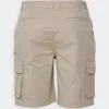 Pier One Uomo Shorts - Tan -Offerta Economica Pier One 3cc4e7d9d5eb48ab8b27bcbc127fe227