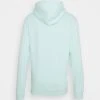 Pier One Uomo Felpa Con Cappuccio - Light Green 6 Pier One Uomo Felpa Con Cappuccio - Light Green -Offerta Economica Pier One 9e554eba4f5e466f8e3e88353b83d113
